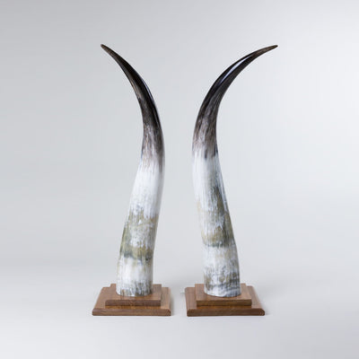 Omukama Horns - Large Black - oboralux