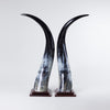 Omukama Horns - Medium Black - oboralux